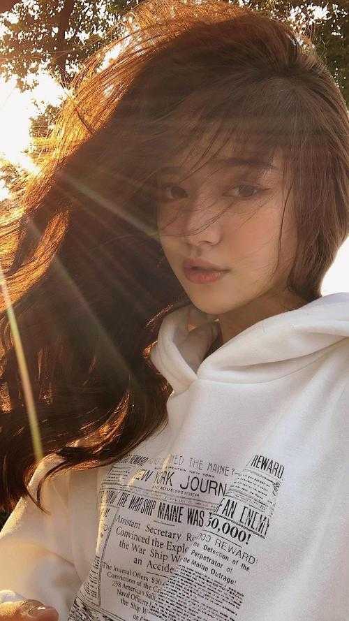 海棠花落人终散顾听澜映月全章节小说