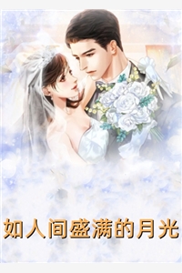 官婿凶猛赵阳秦雨柔全章节免费阅读